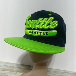 NWOT NFL Seattle Seahawks NEW Embroidered Premium Flat Bill Snapback Hat B16‎